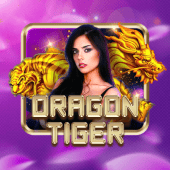 Dragon Tiger at Arion Horse