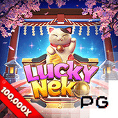 Lucky Neko at Arion Horse
